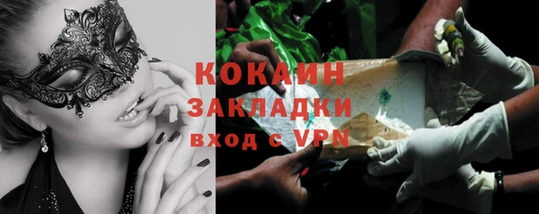 спиды Бородино
