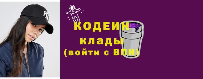 спиды Бородино