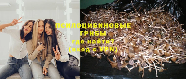 винт Бугульма