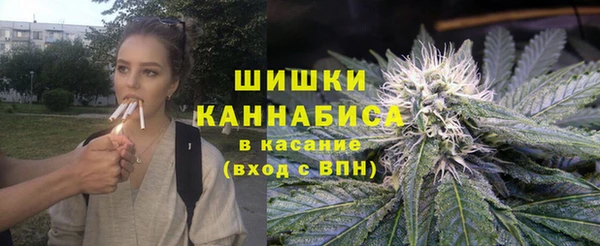 спиды Бородино