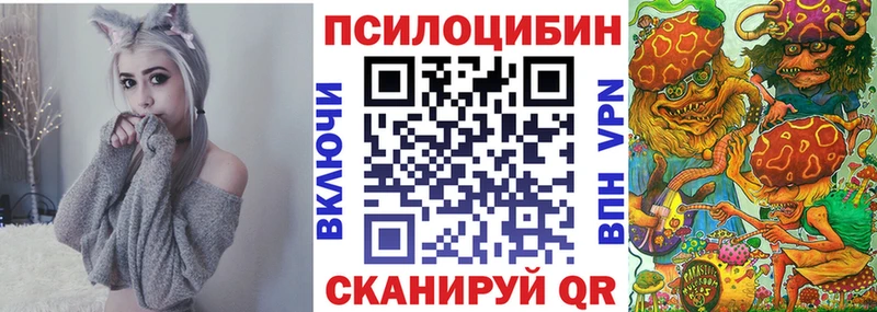 Купить где  Давлеканово  Псилоцибиновые грибы прущие грибы 